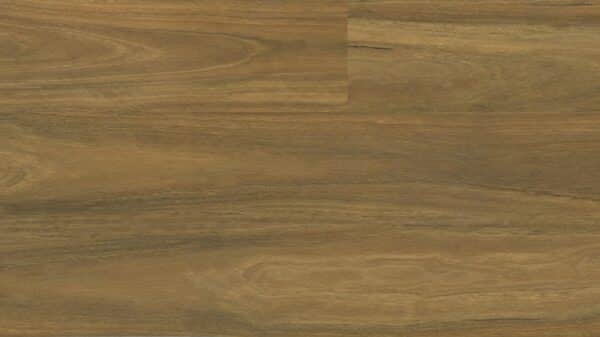 Spotted Gum 0555