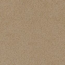 carpet-crestview-sandstone-swatch-feltex_carpets.jpg